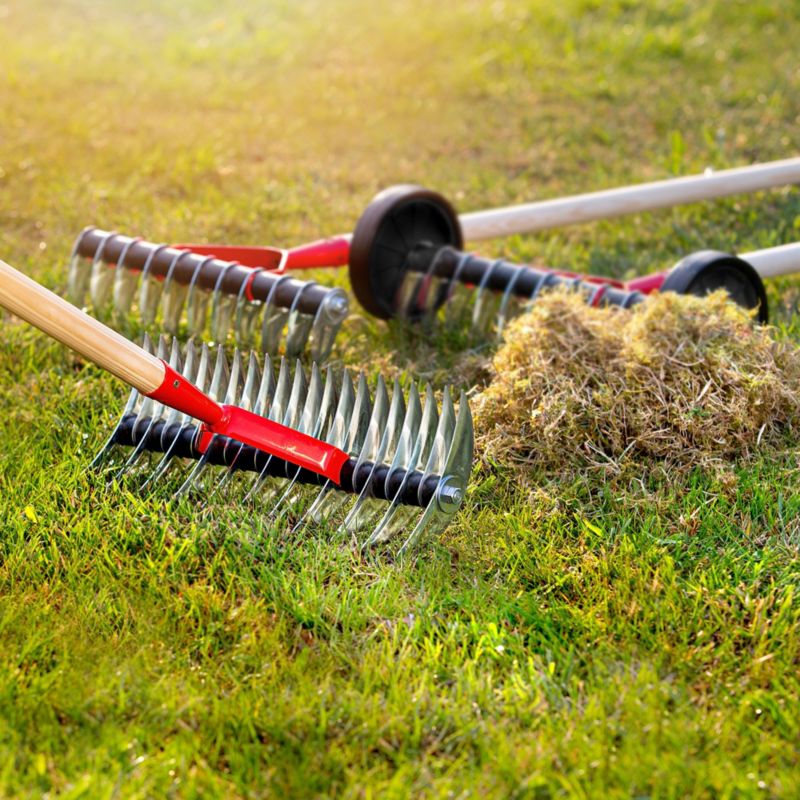 KADAX håndholdt aerator og vertikalskærer til græsplæne, dobbeltsidet metal, uden skaft