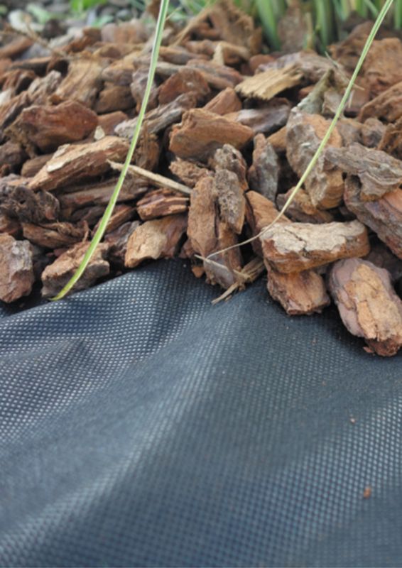 Verve agrotæppe 3 x 3 m 50 g