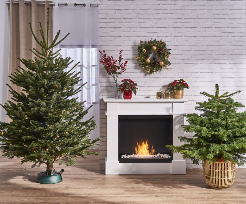 Biokamin med portal Kolosseum Verona med glas, mat hvid