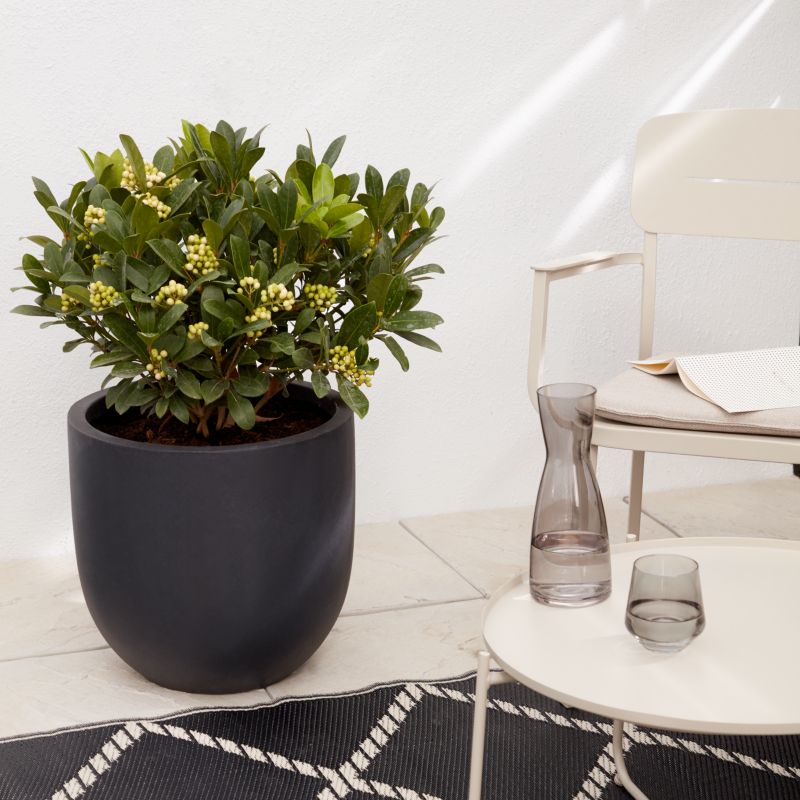 Mat‑mørkegrå Verve plantekasse 42 cm