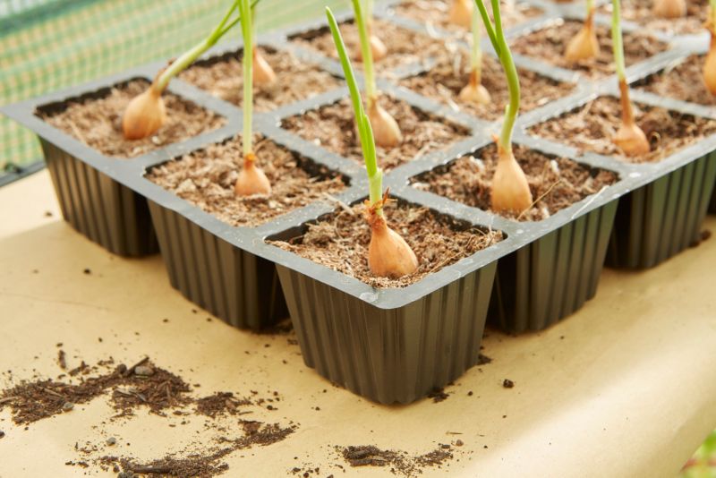 Verve produktionspotte 5,2 x 5,2 x 15 cm, 5 stk.