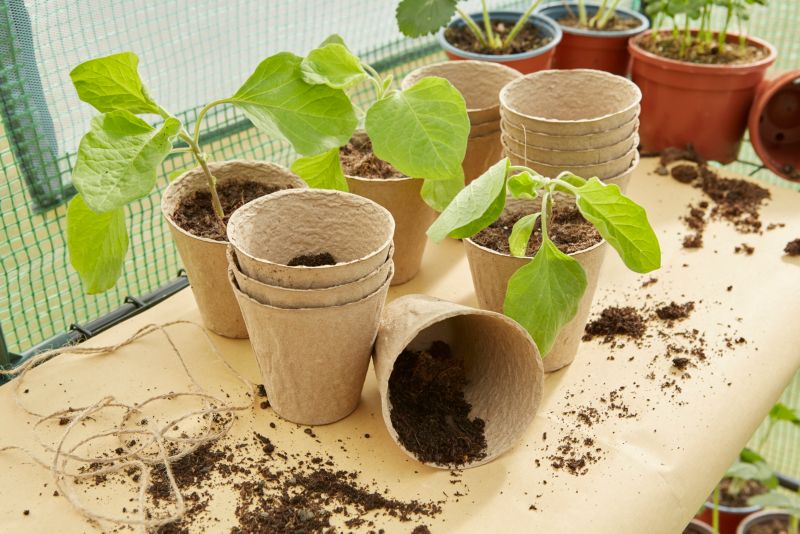 GoodHome fiberpotter 8 cm, 24 stk.