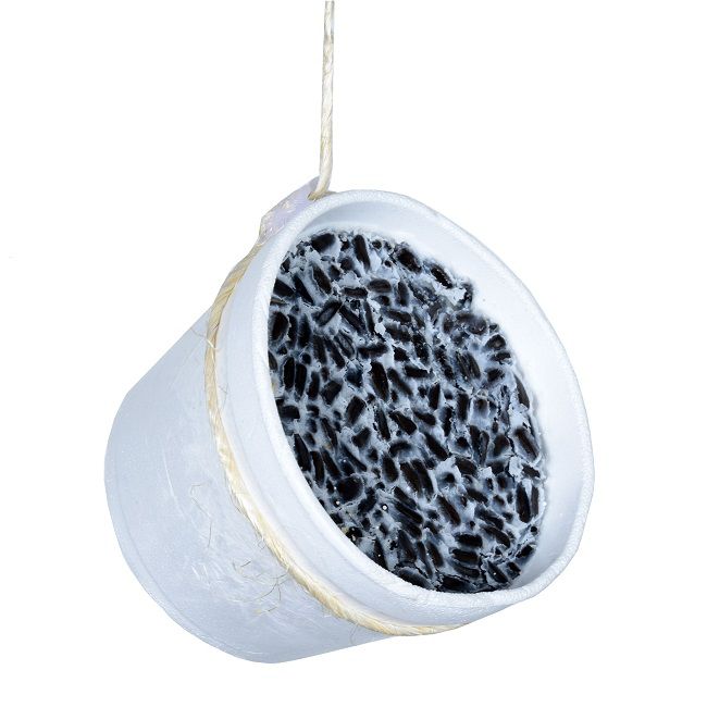 Fedtklokke til vilde fugle