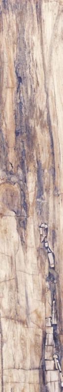 Gravelwood porcelænsflise 19,3 x 120,2 cm brun 1,16 m²