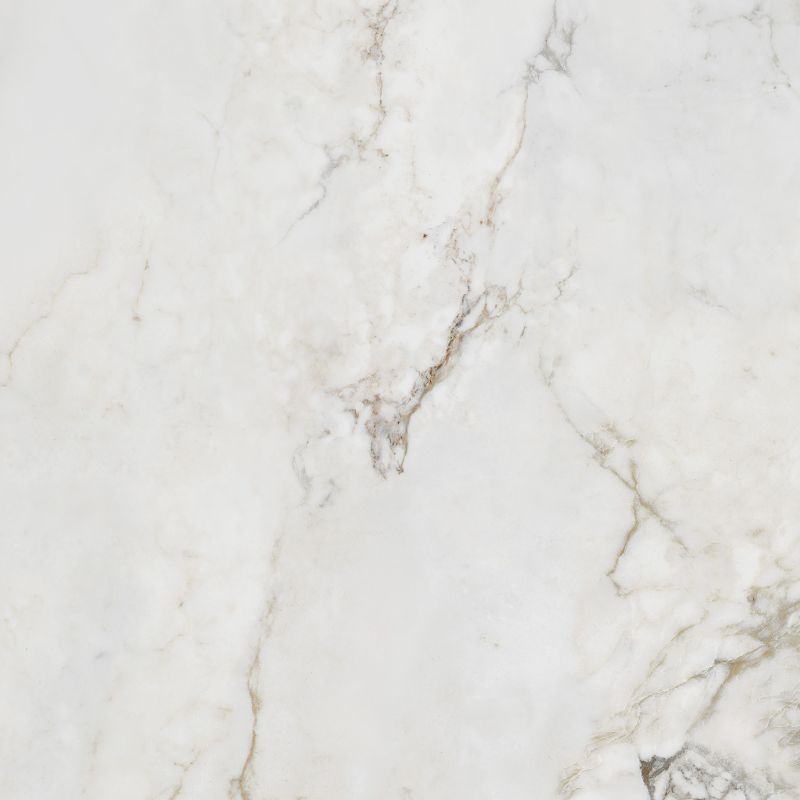 Frostbestandig Shellstone Arte porcelænsflise 119,8 x 119,8 cm 1,44 m²