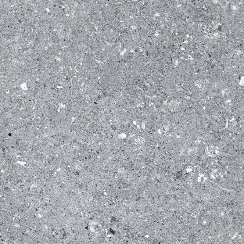 Frostbestandig glasurgranit Expedition 40 x 40 cm grafitgrå 1,6 m²