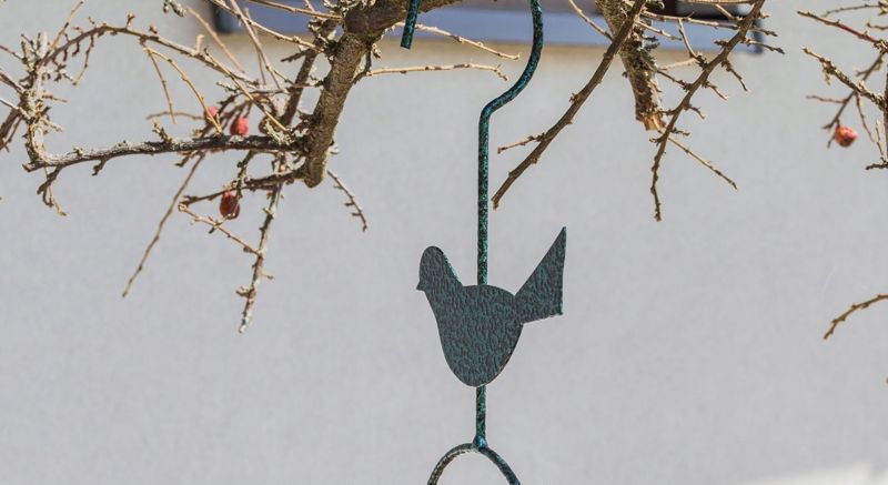 Hængende fuglefrøautomat KADAX 31 cm, 1 stk.