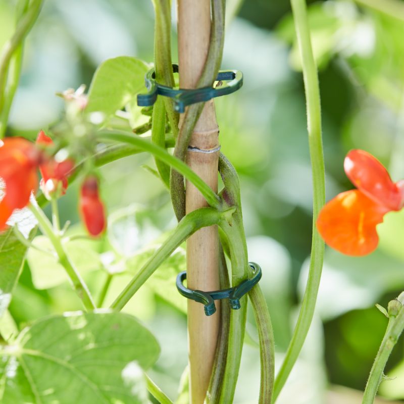 Verve planteclips, 40 stk.