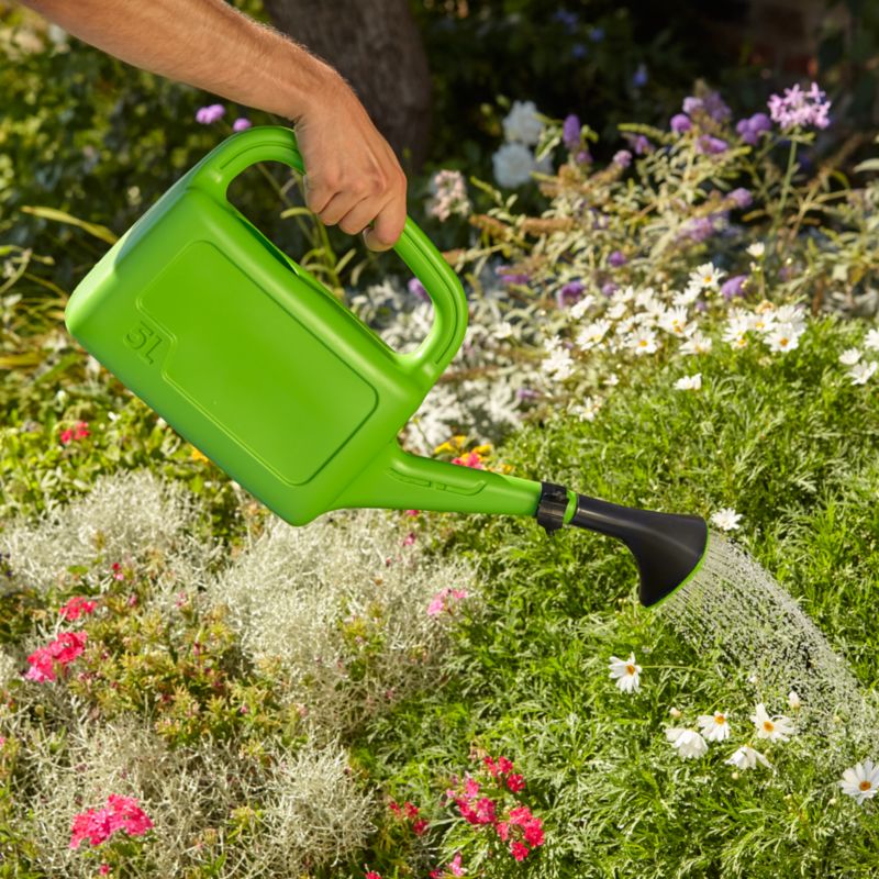 Prosperplast Aqua vandkande 5 l i grøn