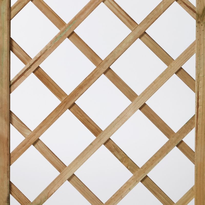 Klatrestativ til slyngplanter 180 x 45 cm