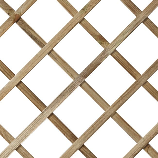 Bueformet espalier Koral 180 x 90 cm