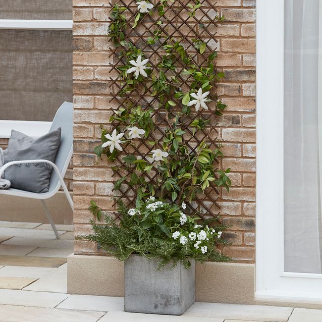 Udvidelig pileflet-gitter 180 x 90 cm