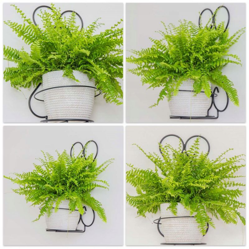 KADAX metal dekorativ hængende planteholder til potte - 1 stk.