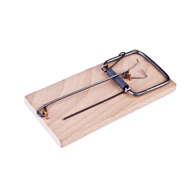 Træmussefælde – effektiv og genanvendelig skadedyrsbekæmpelse