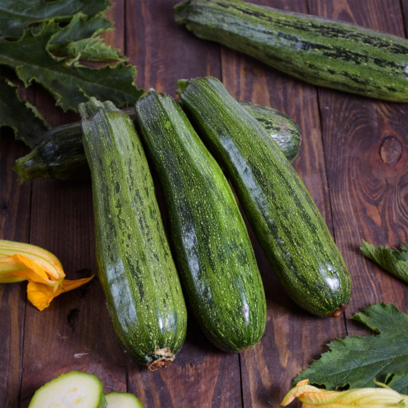 Frø til squash Nimba Verve