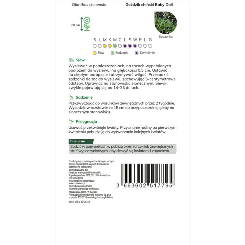 Frø af nellike Baby Doll Verve mix