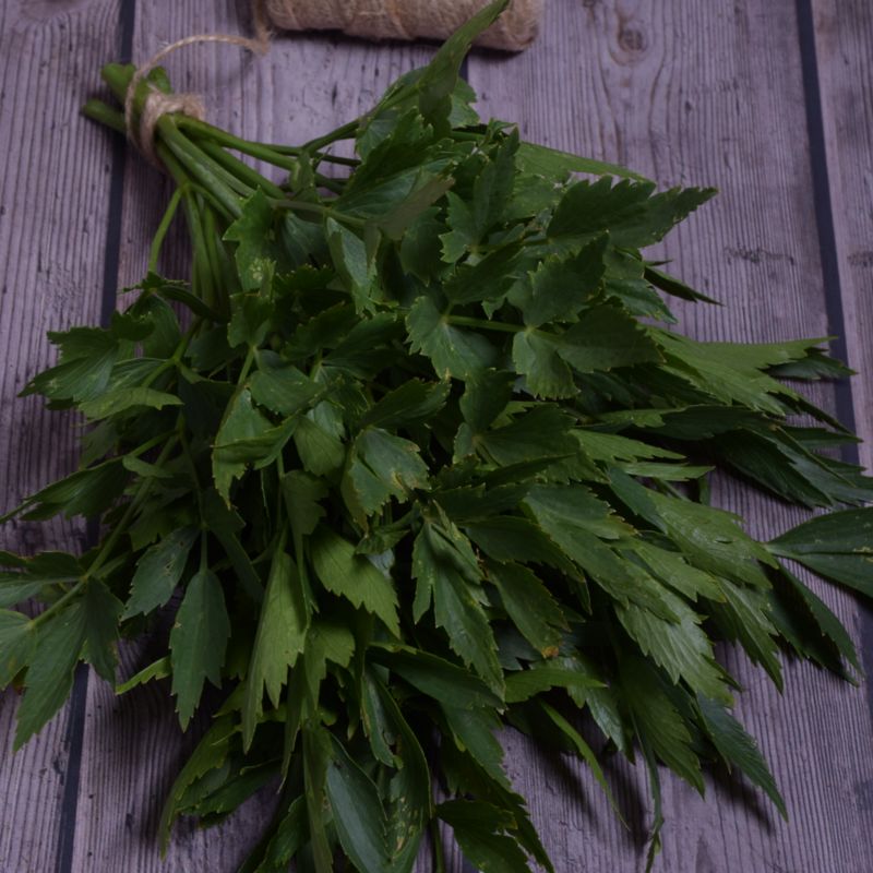 Lubczyk frø Seed Verve – dyrk sunde og vitaminrige krydderurter hjemme