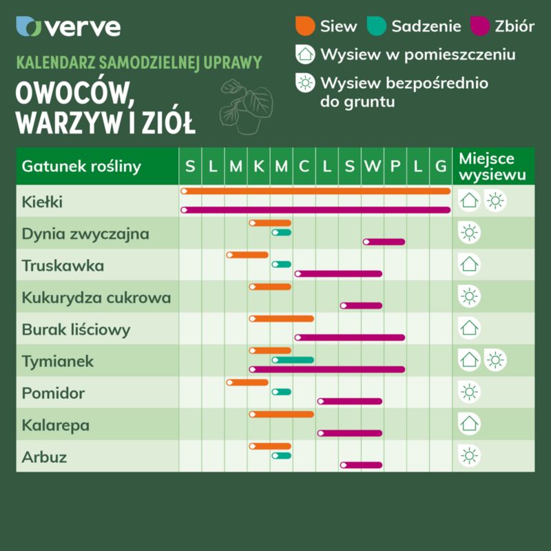 Frø til tomat Faworyt Verve
