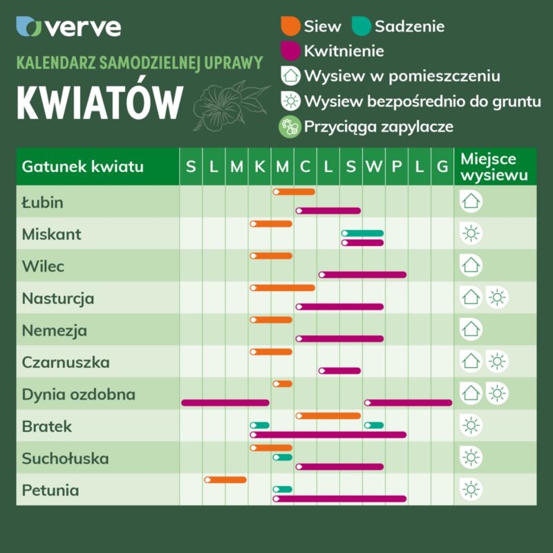 Klatreplantefrø Verve mix