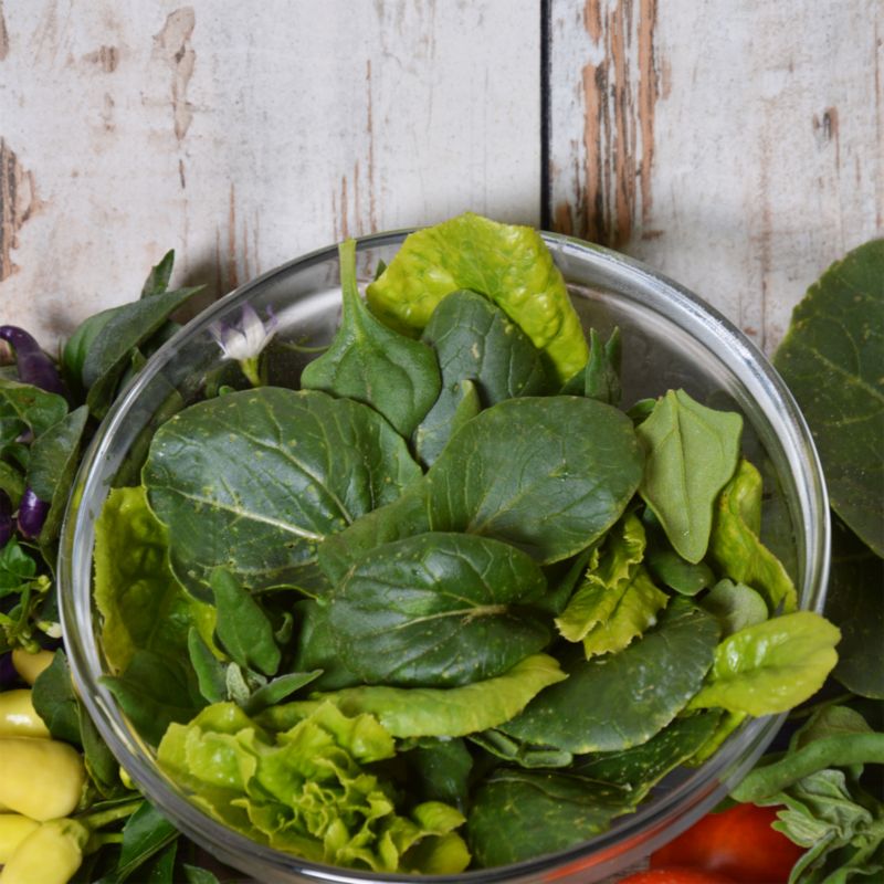 Frø til salat Baby Leaf Verve blanding Stir