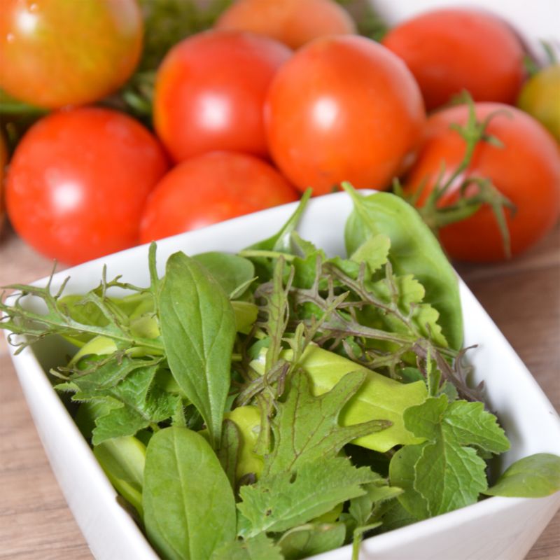 Frø til Baby Leaf Salat Verve Winter-blanding