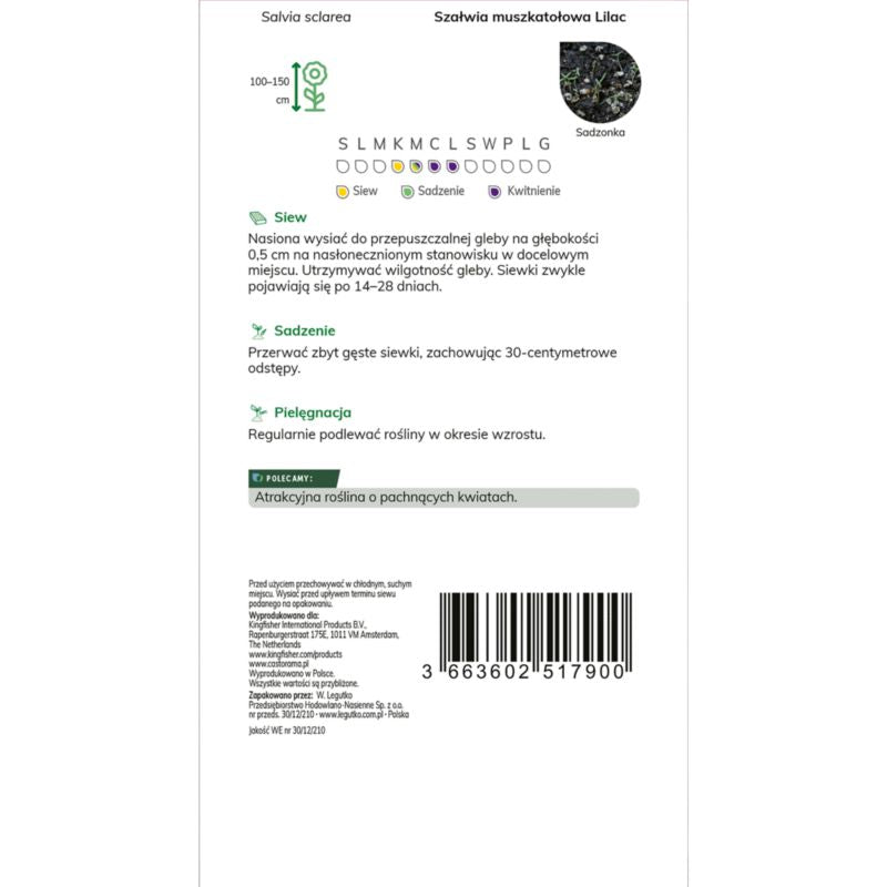 Frø af muskat-salvie Verve