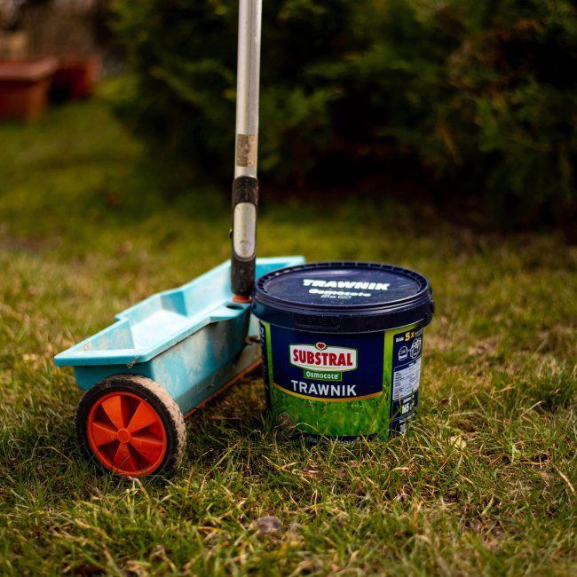 Gødning til græsplæner Substral Osmocote 5 kg