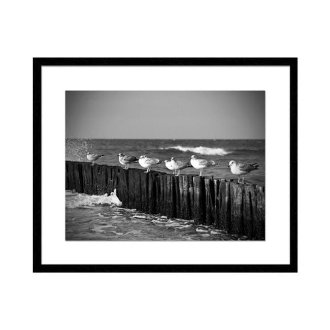 Billede af måger 40 x 50 cm