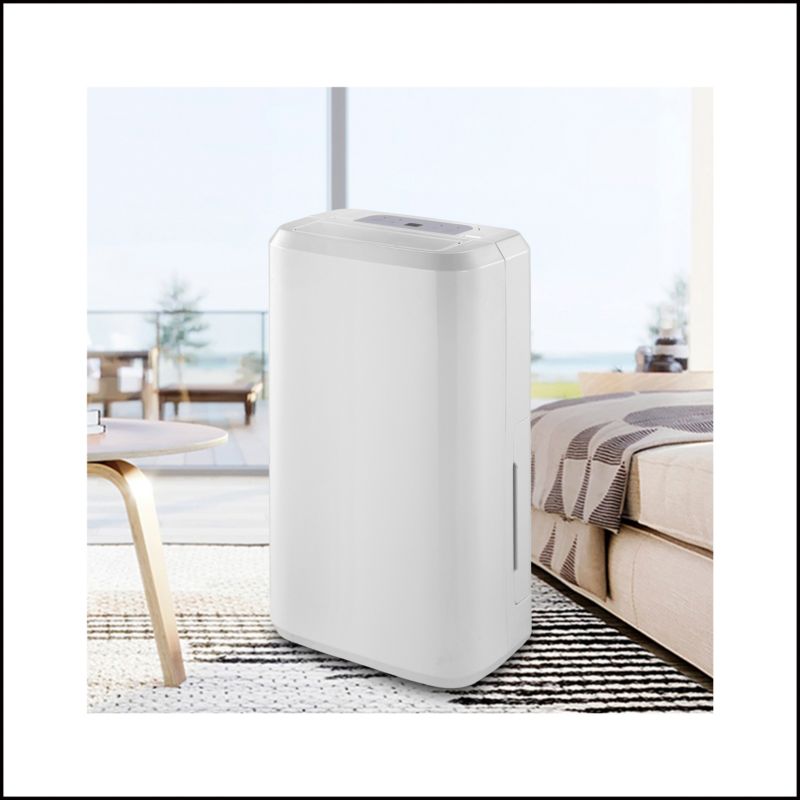 Luftaffugter 10 l/24 t