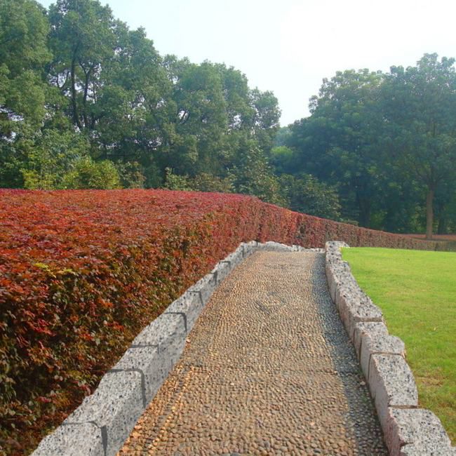 Granitpalisade 10 x 10 x 25 cm grå