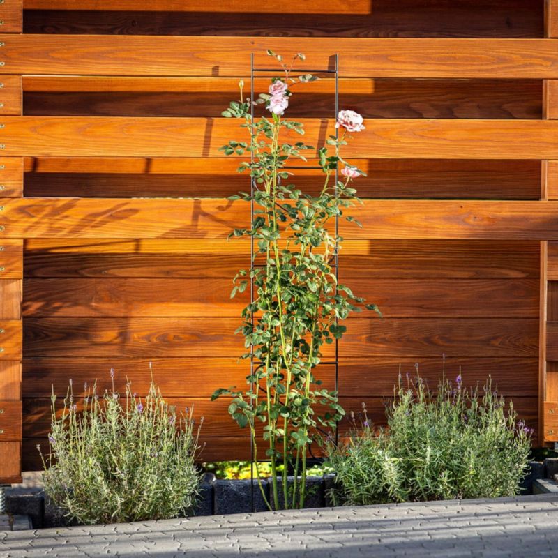 KADAX pergola have-stige have-støtte til blomster roser slyngplanter 150 cm 1 stk.