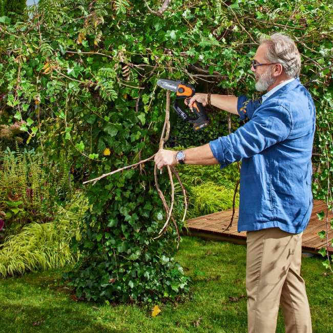 Mini-kædesav Worx WG324E 20 V