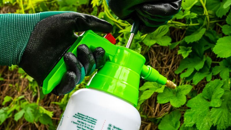 VERTO havehandsker med nitrilbelægning str. 10 grøn 1 par