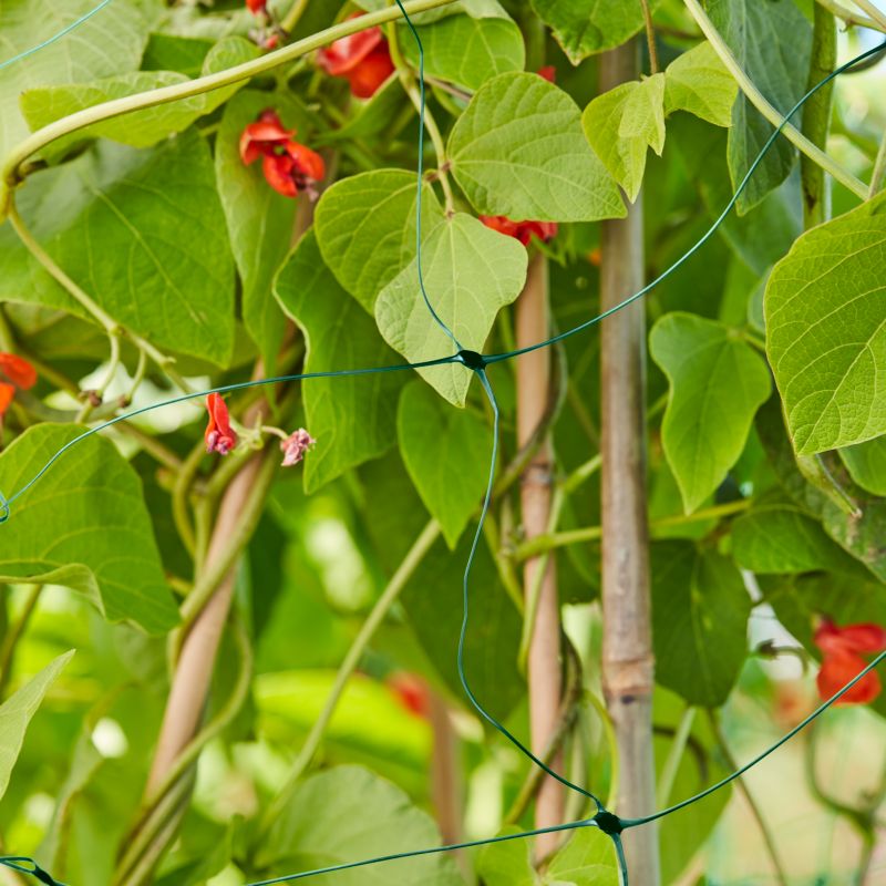 Verve klatre-net 2 x 5 m