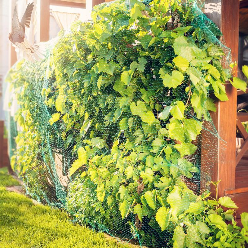 KADAX beskyttelsesnet mod fugle 4x5 m