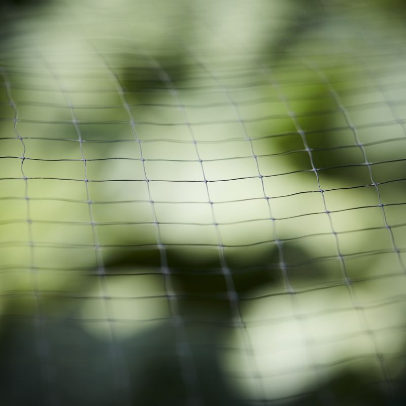 Verve beskyttelsesnet 2 x 4 m