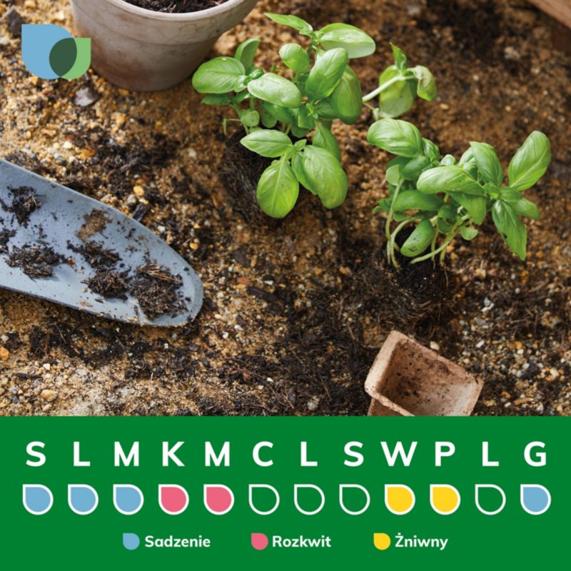 Verve 2-sorten blomme