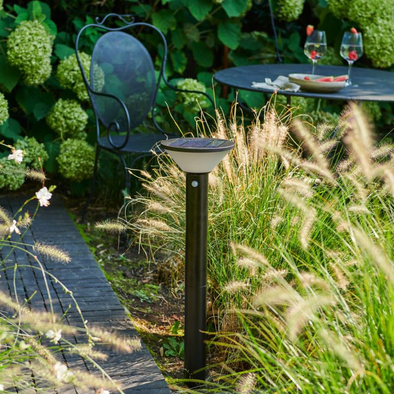 Sort solcellet havepæl med bevægelsessensor