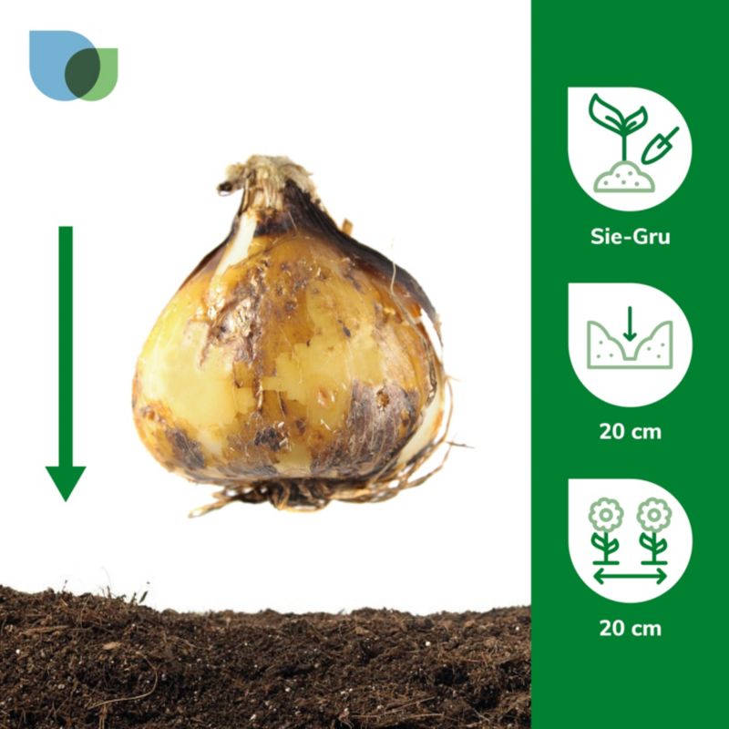 Imperial Crown Verve kobjælde