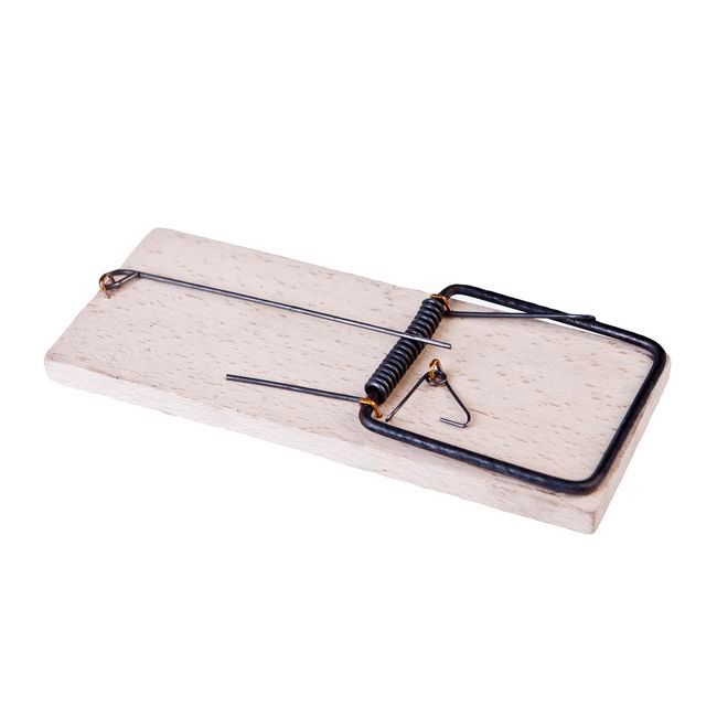 Trærottefælde – effektiv fælde til rotter