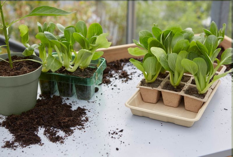 Produktionsbakke 23 x 18 x 3 cm