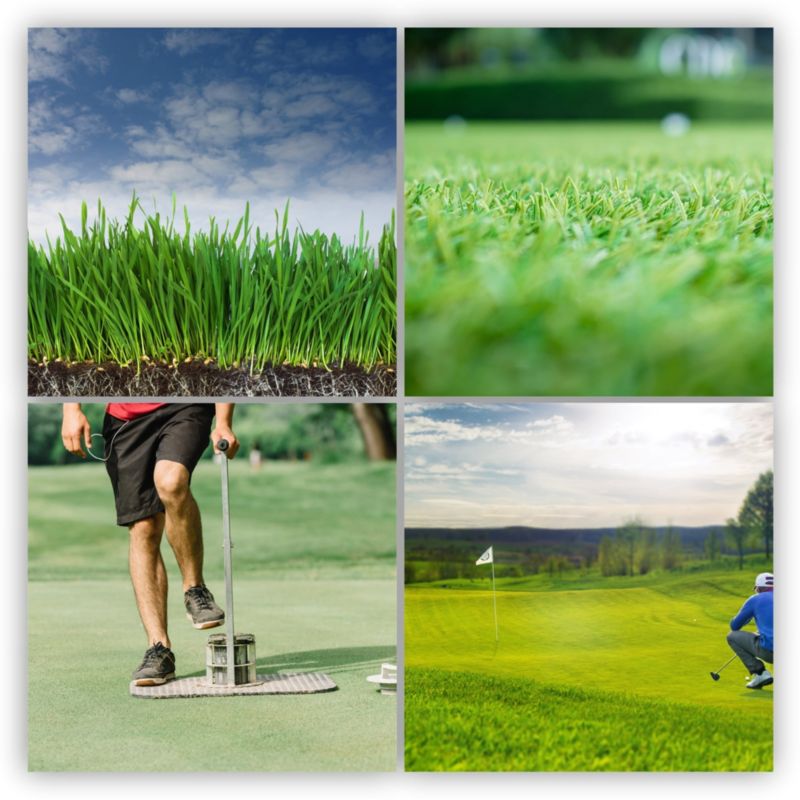 KADAX prydgræs selvfortættende plænefrø 10 kg