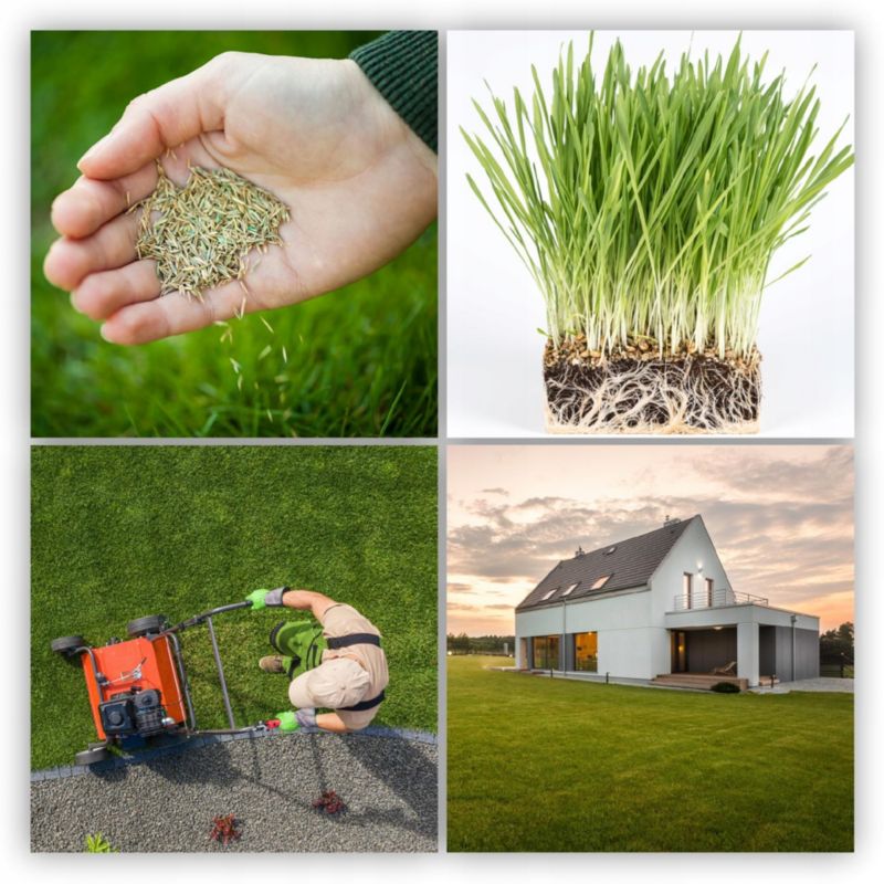 KADAX universel hurtigt tætte græsfrø 2 kg til 80 m²