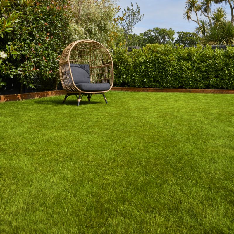 Verve sportgræs 5 kg