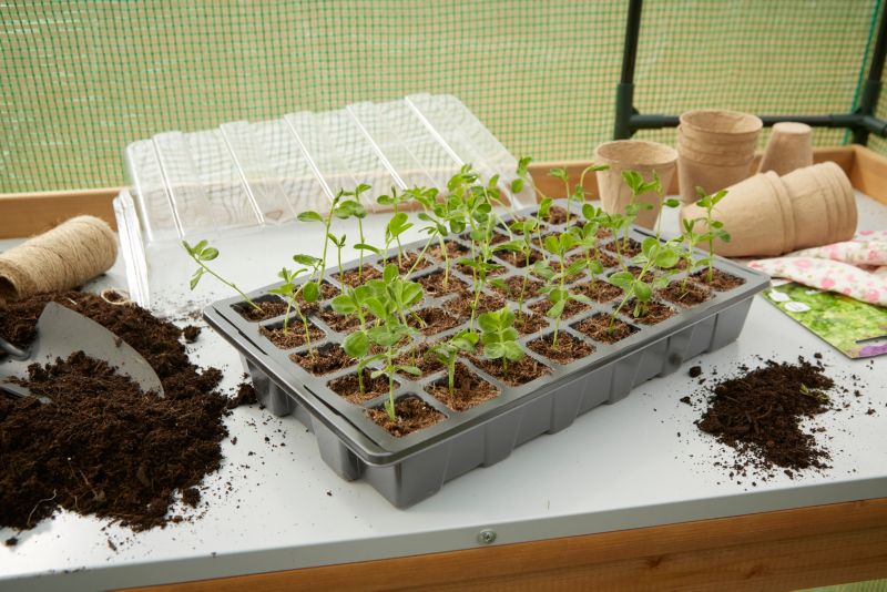 Plastiksåbakke Verve 1