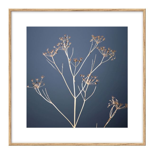 Sæt med billeder Suszki havet 30 x 30 cm 4 stk.