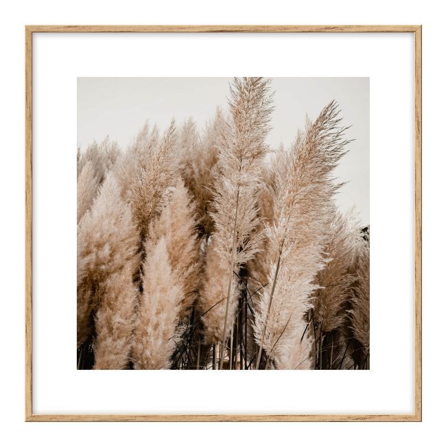 Sæt med billeder Suszki tallerkener 30 x 30 cm 4 stk.