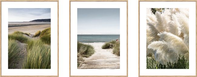 Sæt med billeder Grønne græsser 30 x 40 cm 3 stk.