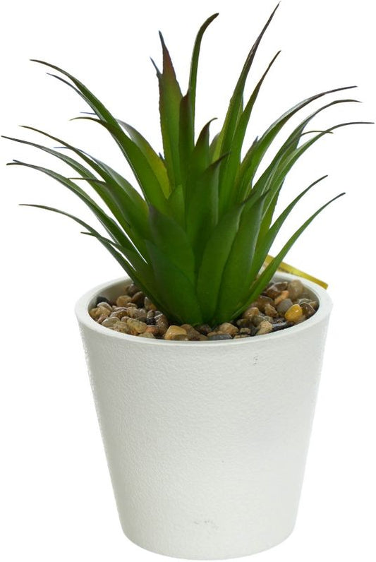 Jumi agave i cementpotte 18 cm