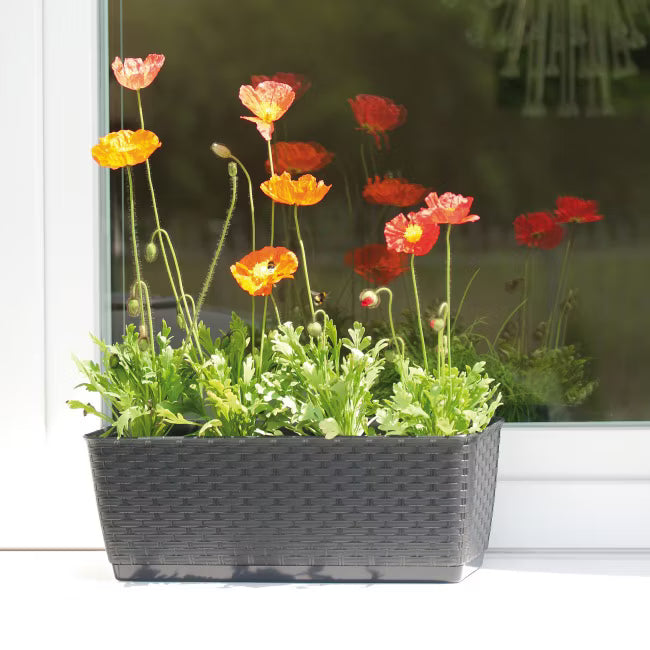 Altankasse Ratolla 40 cm Antracit
